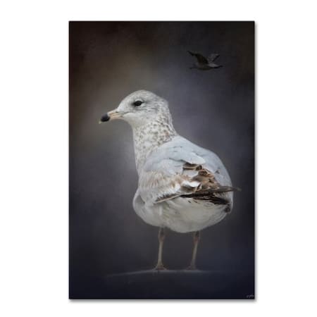 Jai Johnson 'Perched Nearby Gull' Canvas Art,16x24